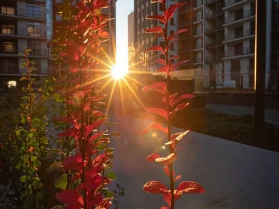 Residential complex Russkaa Evropa